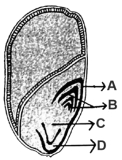 Question diagram
