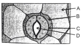 Question diagram