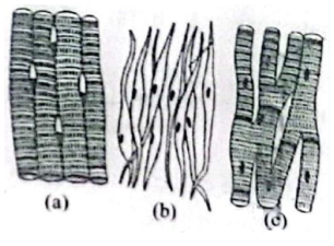 Question diagram