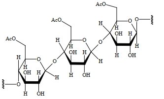 Option B