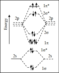 Option B