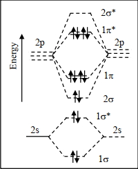 Option C