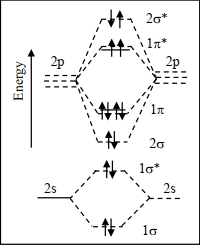 Option D