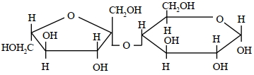 Option B