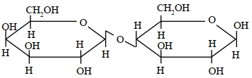 Option C