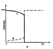 Option B
