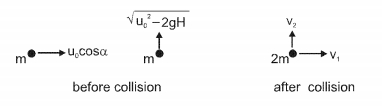 Solution diagram