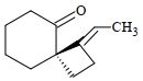 Option C