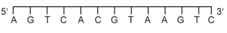 Question diagram