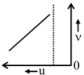 Option D