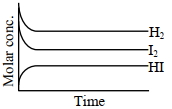 Option B