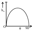 Option B