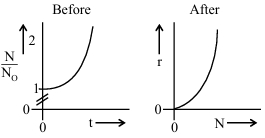 Option B