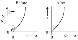 Option C