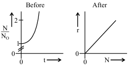Option D