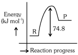 Option B