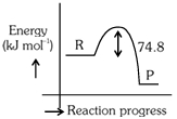 Option C
