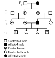 Question diagram