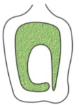 Question diagram