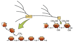 Question diagram