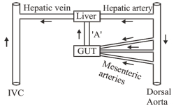 Question diagram