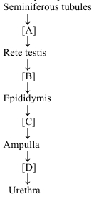 Question diagram