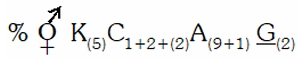 Option B