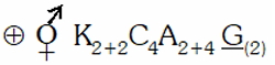 Option D