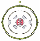 Question diagram