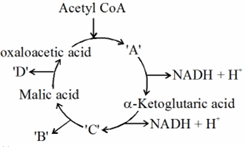 Question diagram