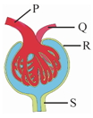 Question diagram