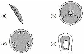 Question diagram