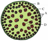 Question diagram