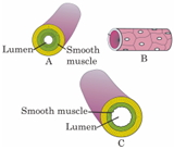 Question diagram