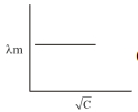 Option C