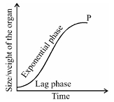 Question diagram