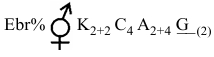 Option B