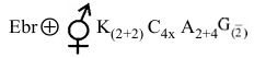 Option C