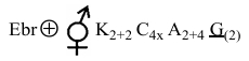 Option D