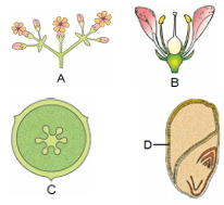 Question diagram