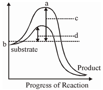Question diagram