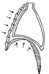 Question diagram