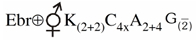 Option C