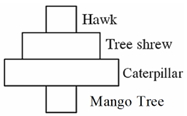 Question diagram