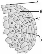 Question diagram