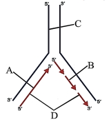 Question diagram