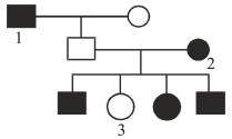 Question diagram