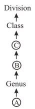 Question diagram