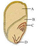 Question diagram