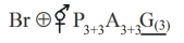 Option A